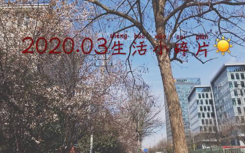 碎裂的生命，零，没有零