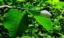 成长路上的一次感悟