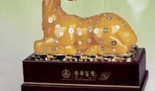 西游集团发财路