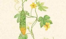 做个爱吃苦的人