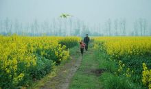 我漫步在乡间小道