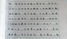 以播种为话题的作文