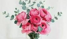 妈妈的手我的最爱