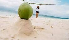 以这样的姿态生活