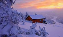 美啊！冬天的雪