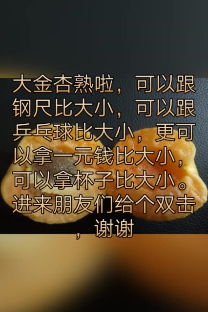 谢谢你出现在这里。