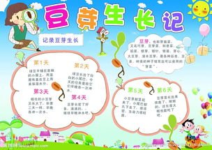 观察豆芽四向杂志