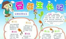 观察豆芽生长日记四则
