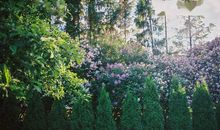 人间路上的温暖