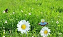 幸福是一种付出后的快乐