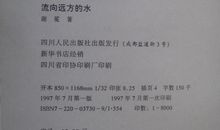 流向远方的水