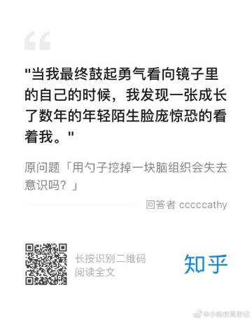 小蚂蚁