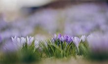 生命中新的乐趣