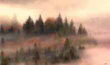 谦虚成就人生的高度