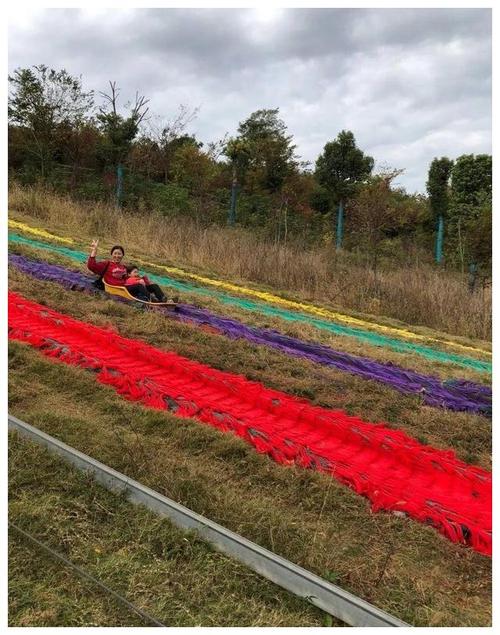 在我的成长道路上感激的花朵