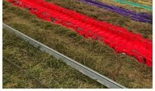 感恩的花开在我成长的路上