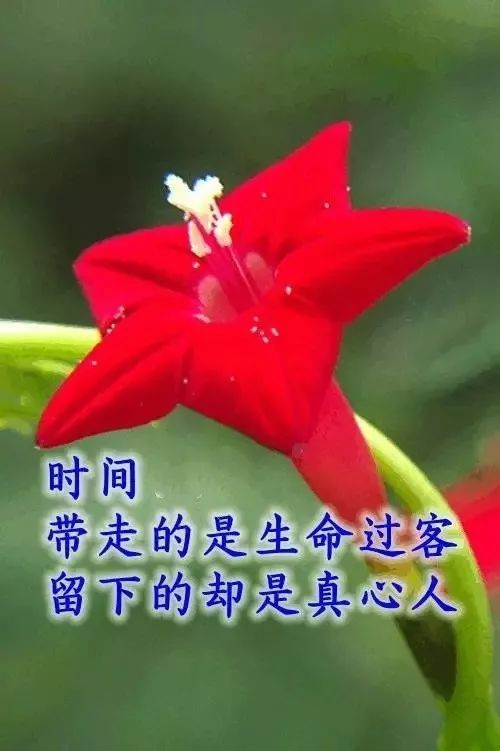 我的生活