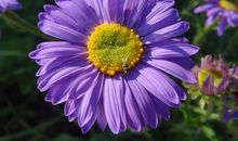 幸福与脚步相伴而行