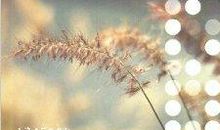 感谢那些一直陪伴我的人