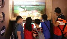 让共享走近生活