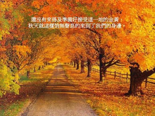 事实证明，秋天一直在我身边。