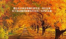 原来秋天一直在我身边