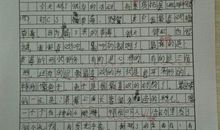 写一篇关于童趣的作文