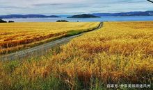 秋天，丰收的季节