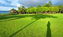 我们的影子也很美