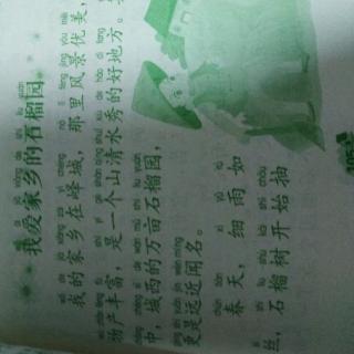 我喜欢我家乡的石榴