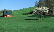 生命因忙碌而精彩