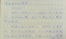 我与书的故事作文600字