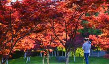 我与夏天同热情