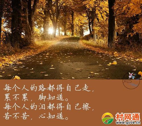这条路将会去