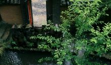 惑之深深深几许