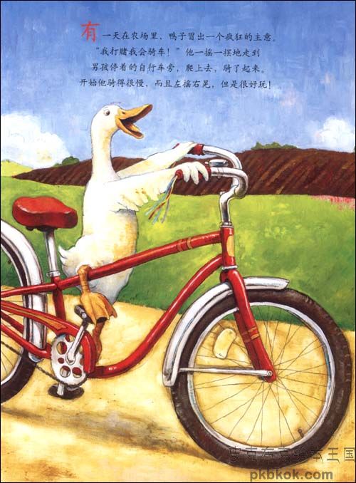 风筝方形骑自行车