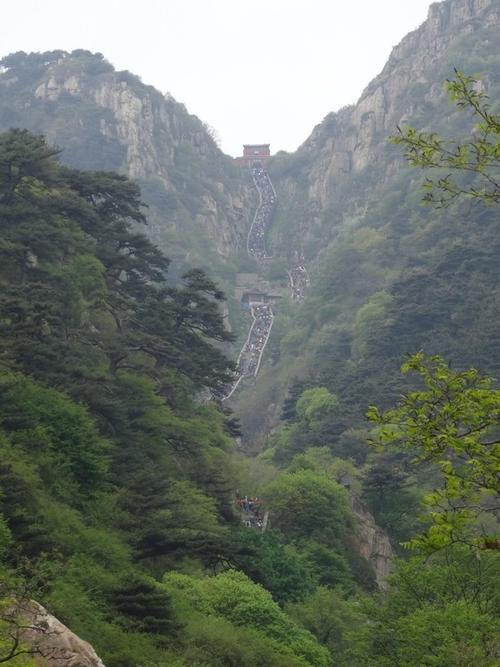 泰山雨