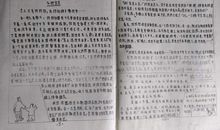 我的收藏爱好作文