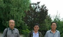 共享，一根纽带