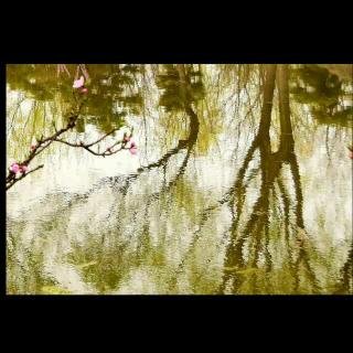 总是“新”雨敲“旧”窗口