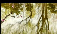 总是”新”雨敲”旧”窗