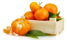 藏在橘子里的爱