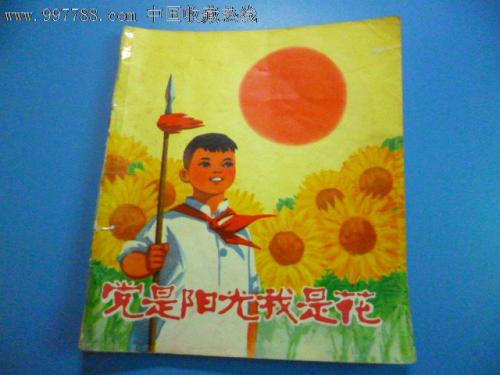 派对是阳光，我是一朵花。