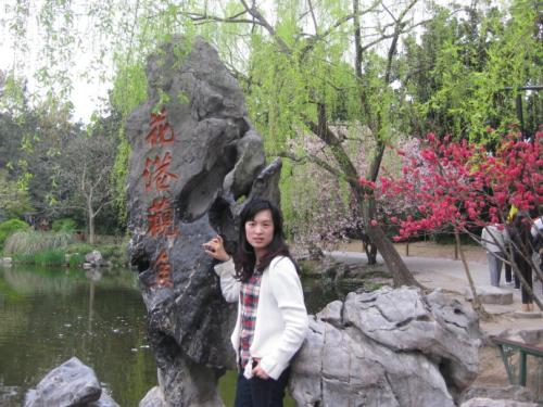 旅游西湖仙境