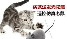 难忘的一件事逗猫