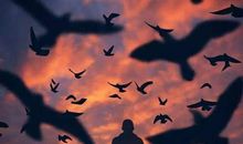 大人都是手机人