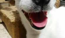 一份笑容一份真诚