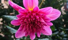 让春天走进你的心