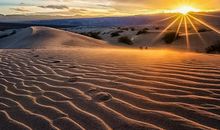 在一片沙漠里有编故事二年级下册