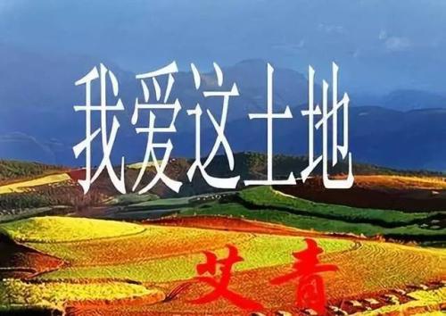 我对这片土地深处。